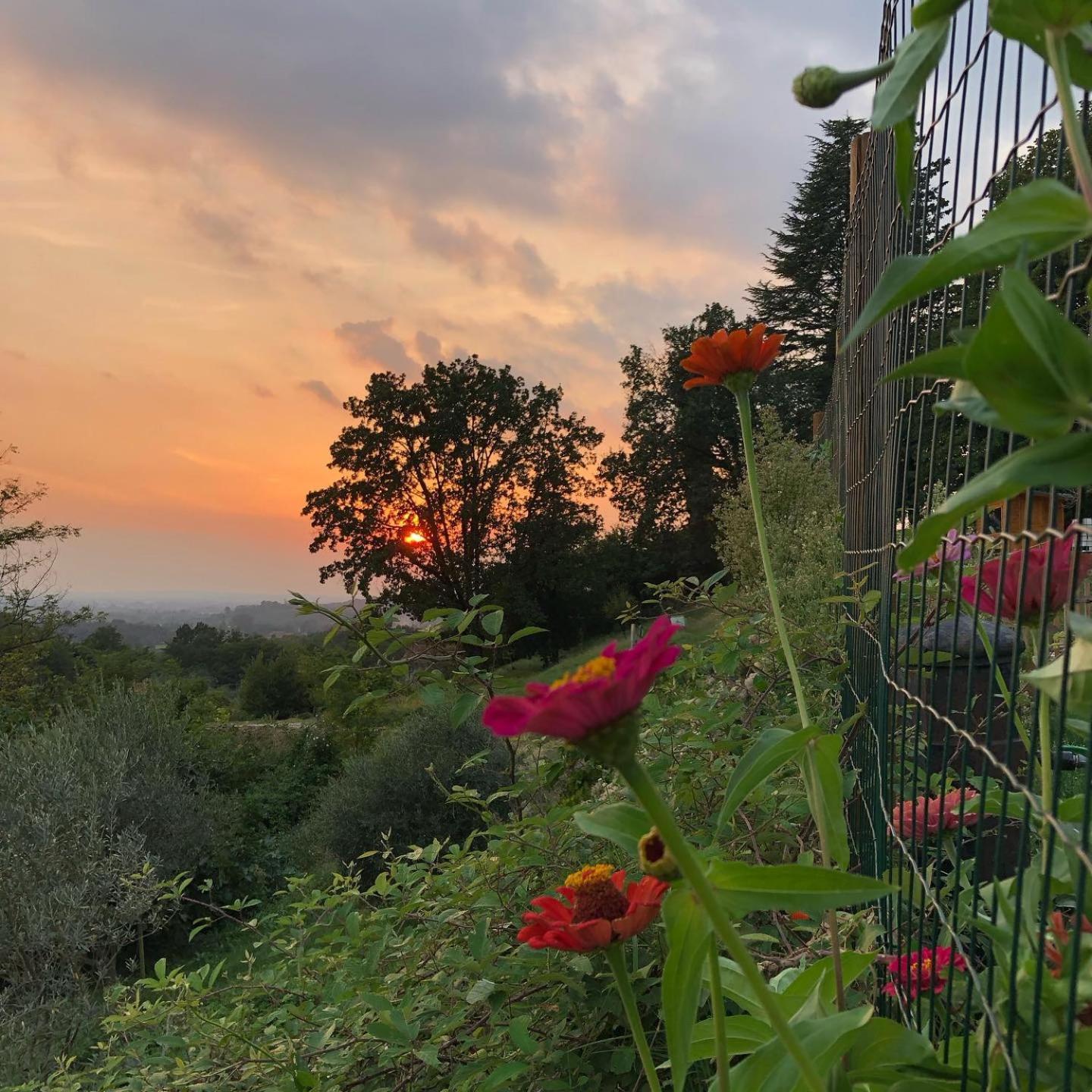 La Casita Eco Country House Bed & Breakfast Faedis Exterior foto
